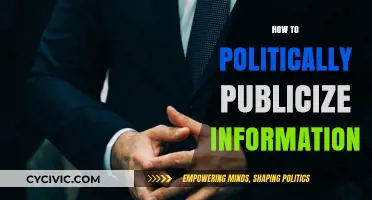 Mastering Political Publicity: Effective Strategies to Disseminate Information