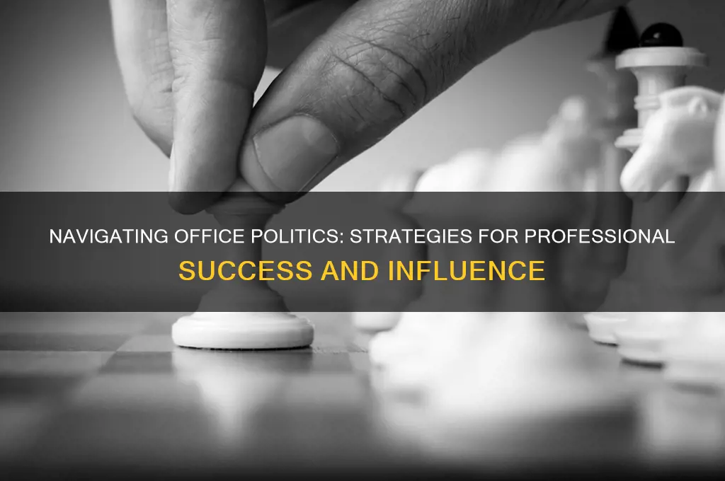 how to portray office politics