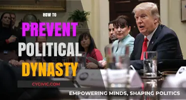 Breaking the Cycle: Strategies to Prevent Political Dynasties