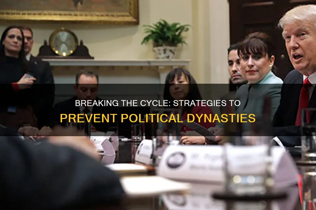 how to prevent political dynasty