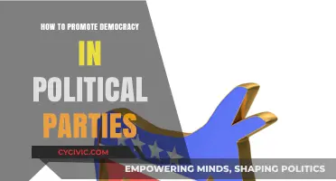 Strengthening Democracy: Strategies for Inclusive and Transparent Political Parties