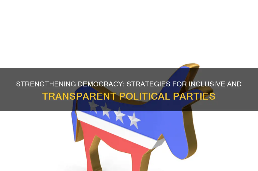 how to promote democracy in political parties