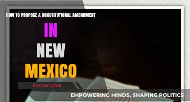 Initiating Constitutional Change in New Mexico