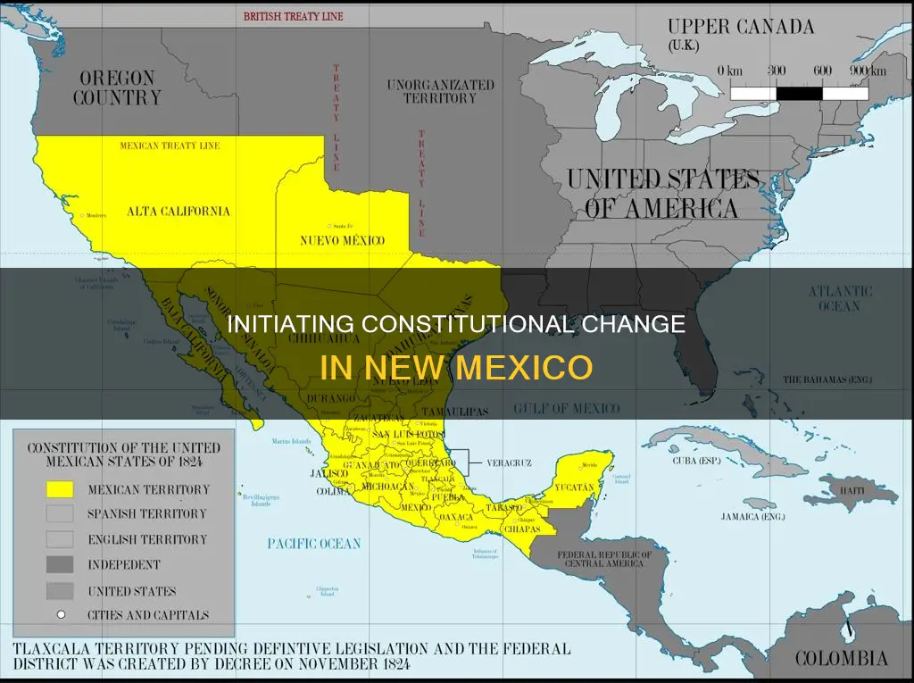 how to propose a constitutional amendment in new mexico