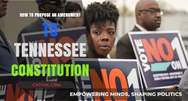 Tennessee Constitution Amendments: Proposal Process