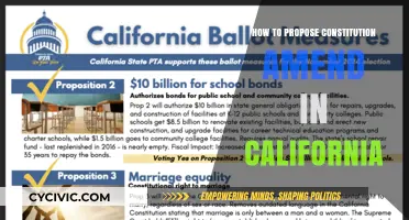 Proposing Amendments: California's Unique Process