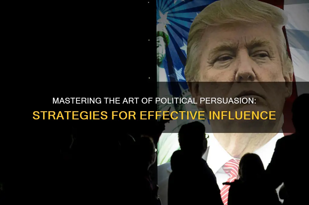 how to pursuade others politics