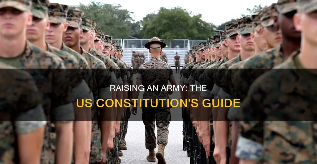 how to raise an army under the us constitution