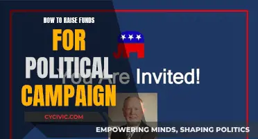 Political Campaign Fundraising: Strategies for Success