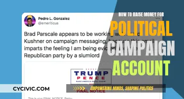 Funding Political Campaigns: Strategies for Successful Fundraising