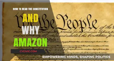 Understanding the Constitution: Amazon's Guide