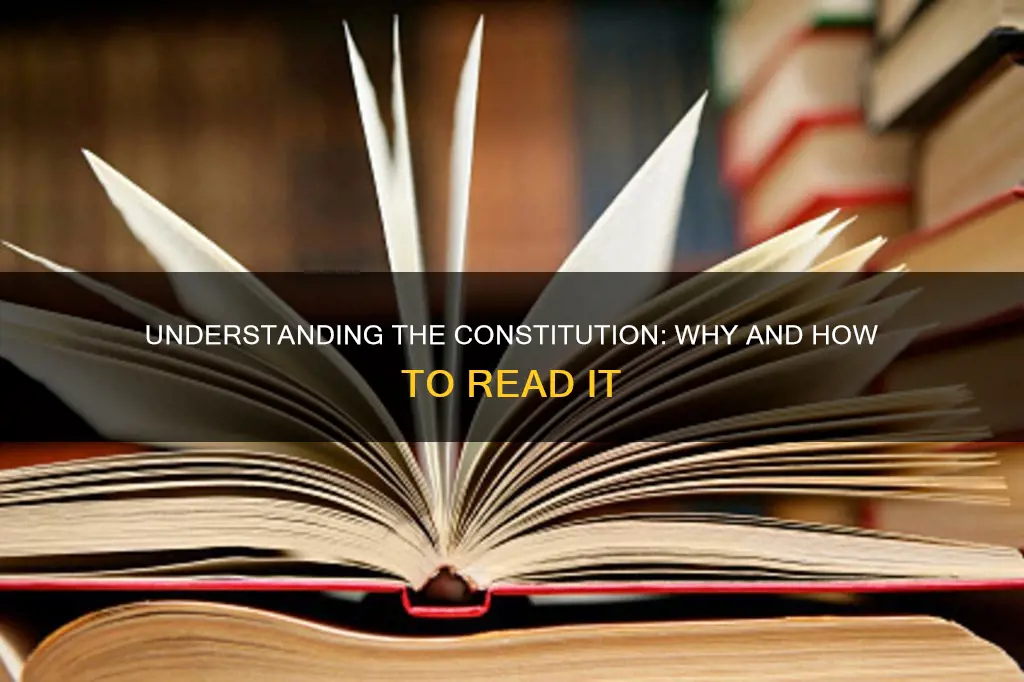 how to read the constitution and why book