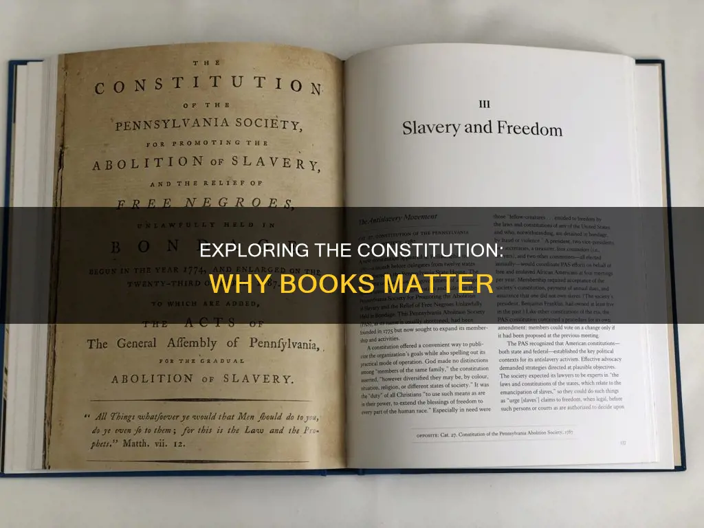 how to read the constitution and why books a million