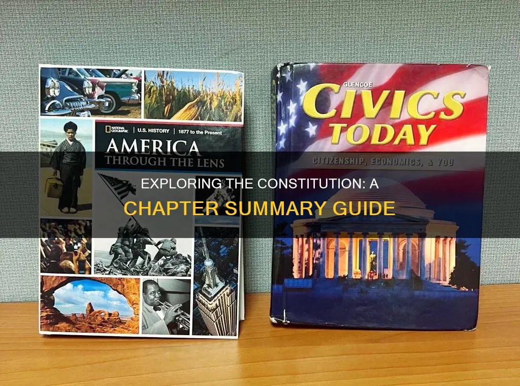 how to read the constitution and why chapter summary