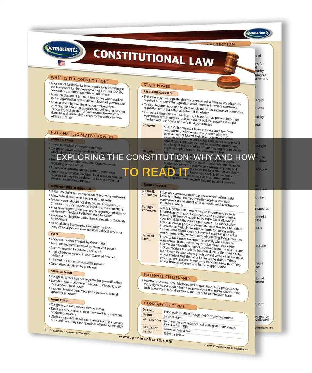 how to read the constitution and why epub