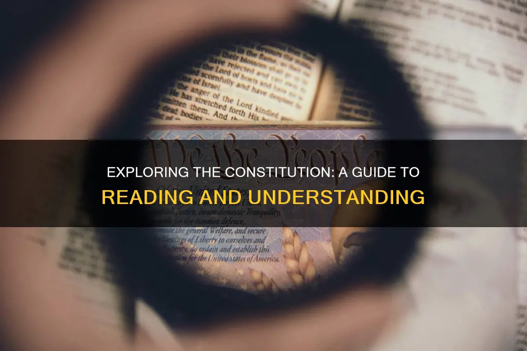 how to read the constitution and why isbn lookup