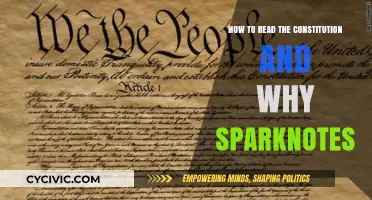 Exploring the Constitution: SparkNotes for Beginners