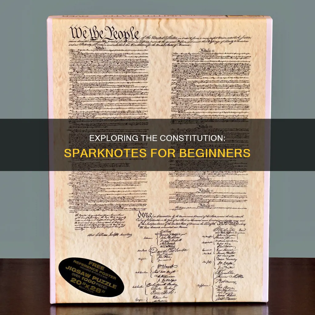 how to read the constitution and why sparknotes