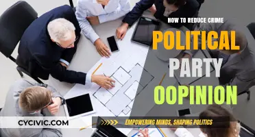 Political Strategies to Reduce Crime: Party Opinions and Effective Solutions