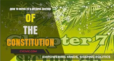 Understanding the Constitution: Referencing Specific Sections