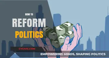 Reimagining Democracy: Practical Steps to Reform and Revitalize Politics