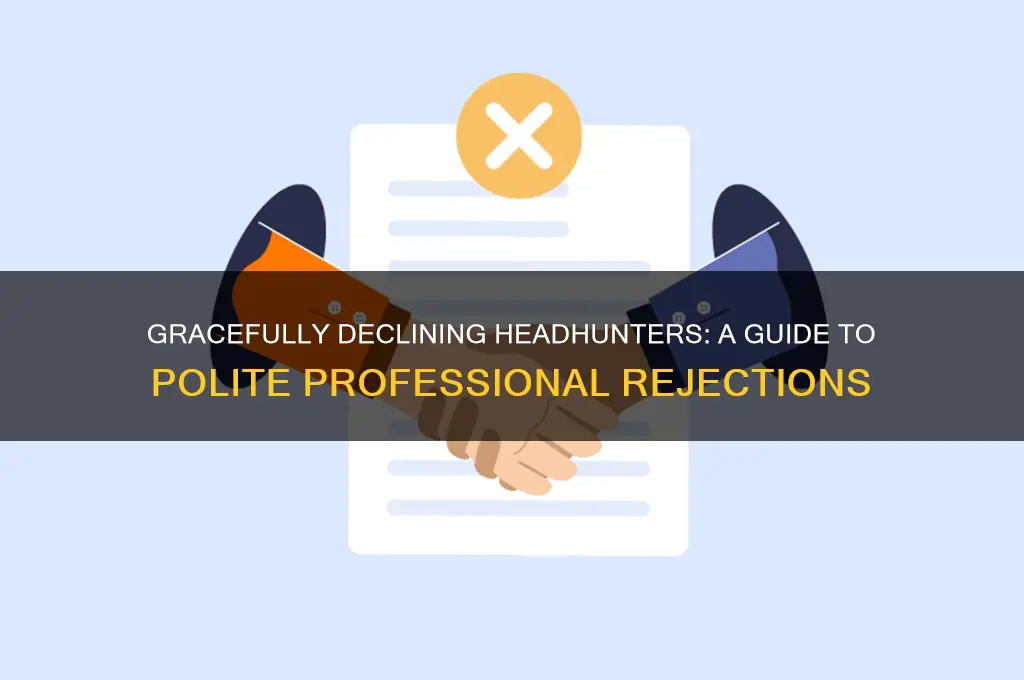 how to reject headhunter politely