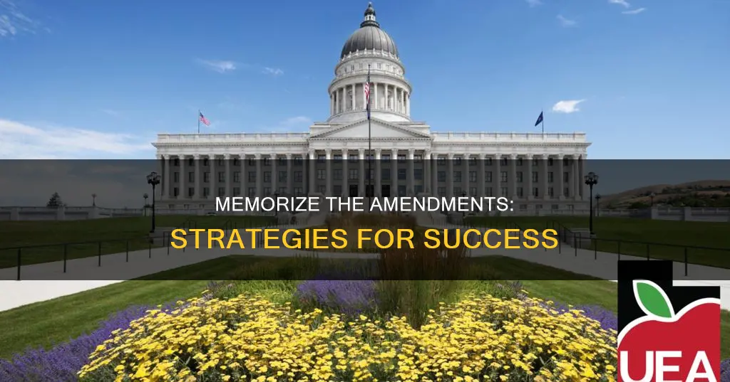 how to remember the 27 amendments to the constitution