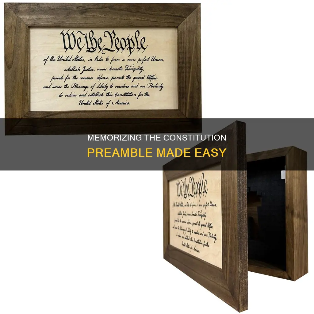 how to remember the preamble to the constitution