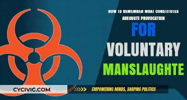 Memorizing Voluntary Manslaughter: Strategies for Law Students