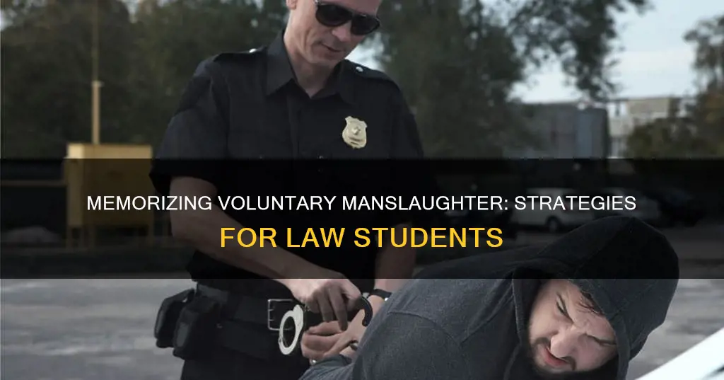 how to remember what constitutes adequate provocation for voluntary manslaughter