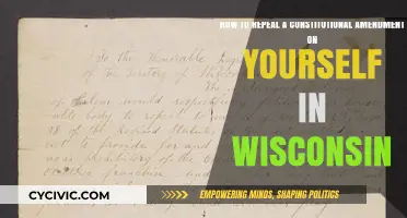 Repealing a Constitutional Amendment in Wisconsin: A Guide