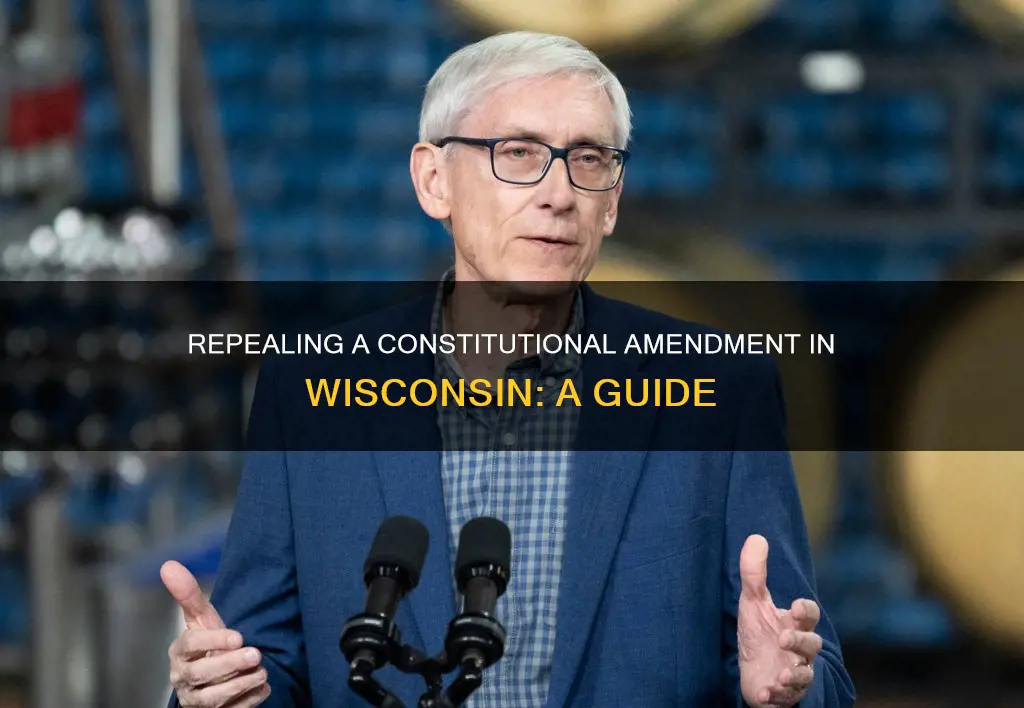 how to repeal a constitutional amendment on yourself in wisconsin