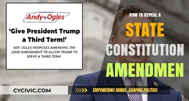 Repealing State Amendments: A Guide to Success