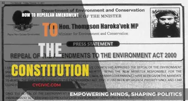 Amending the Constitution: A Step-by-Step Guide