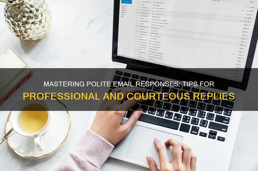 how to reply polite email