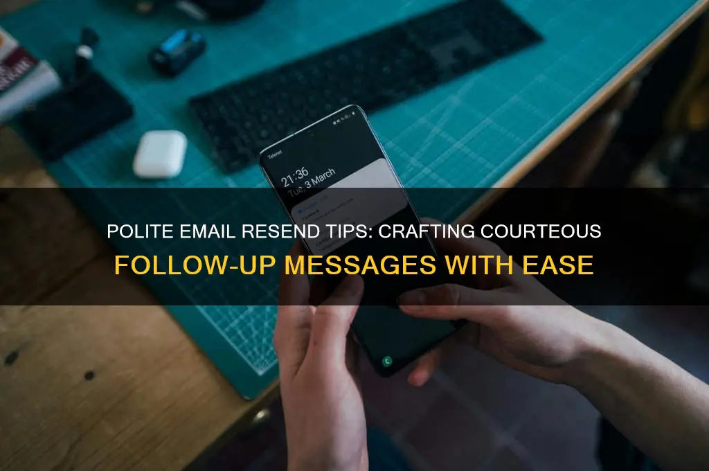 how to resend email politely