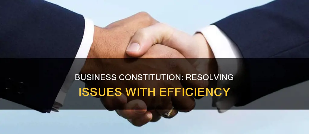 how to resolved a constitutional issue in business