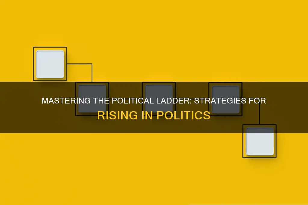 how to rise in politics