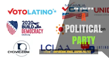 Climbing the Political Ladder: Strategies for Rising in Your Party