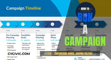 Running a Campaign: Strategies for Success