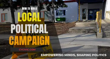 Running a Local Political Campaign: Strategies for Success