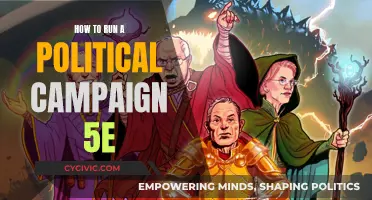 Strategies for Running a Political Campaign in 5e