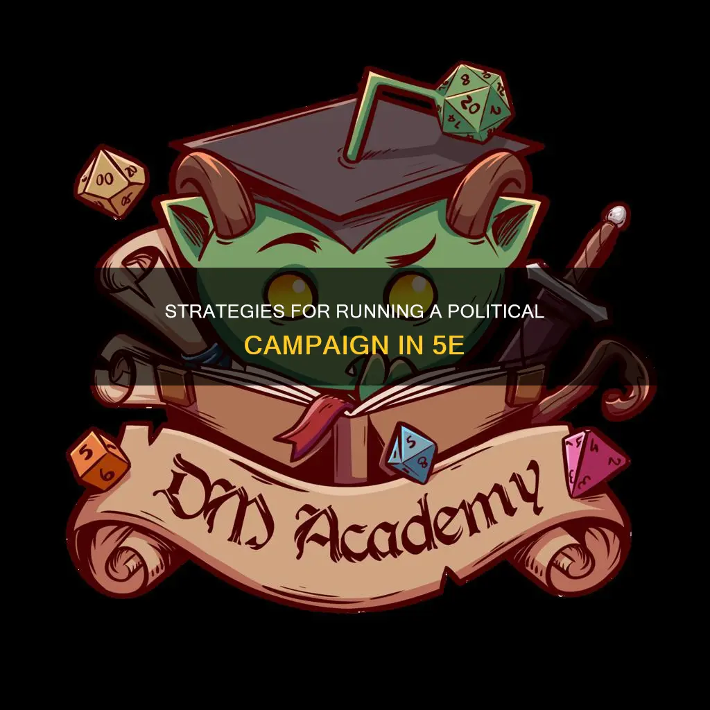 how to run a political campaign 5e