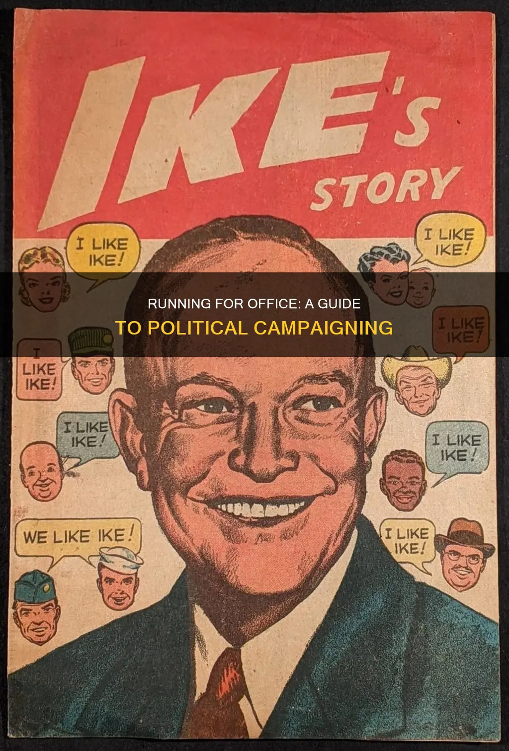 how to run a political campaign book