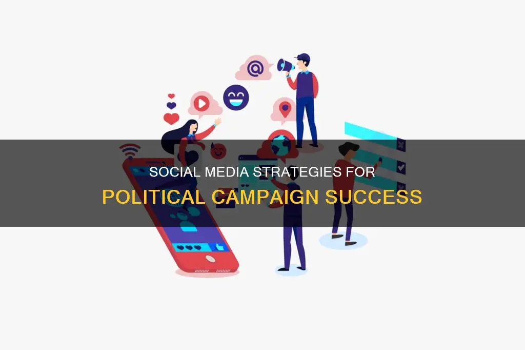 how to run a political campaign on social media