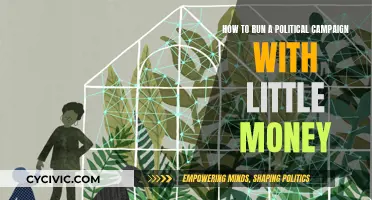 Running a Political Campaign: Strategies for Small Budgets