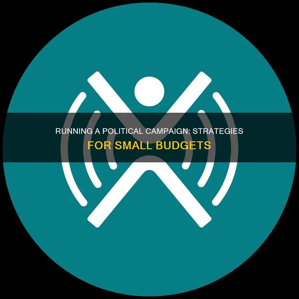 how to run a political campaign with little money