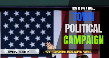 Small Town, Big Impact: Strategies for Political Campaigns