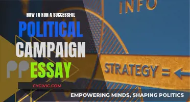 Strategies for a Winning Political Campaign