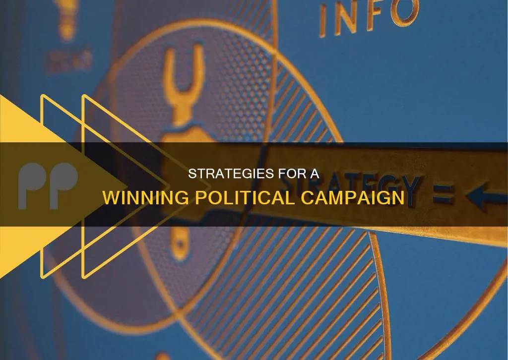 how to run a successful political campaign essay